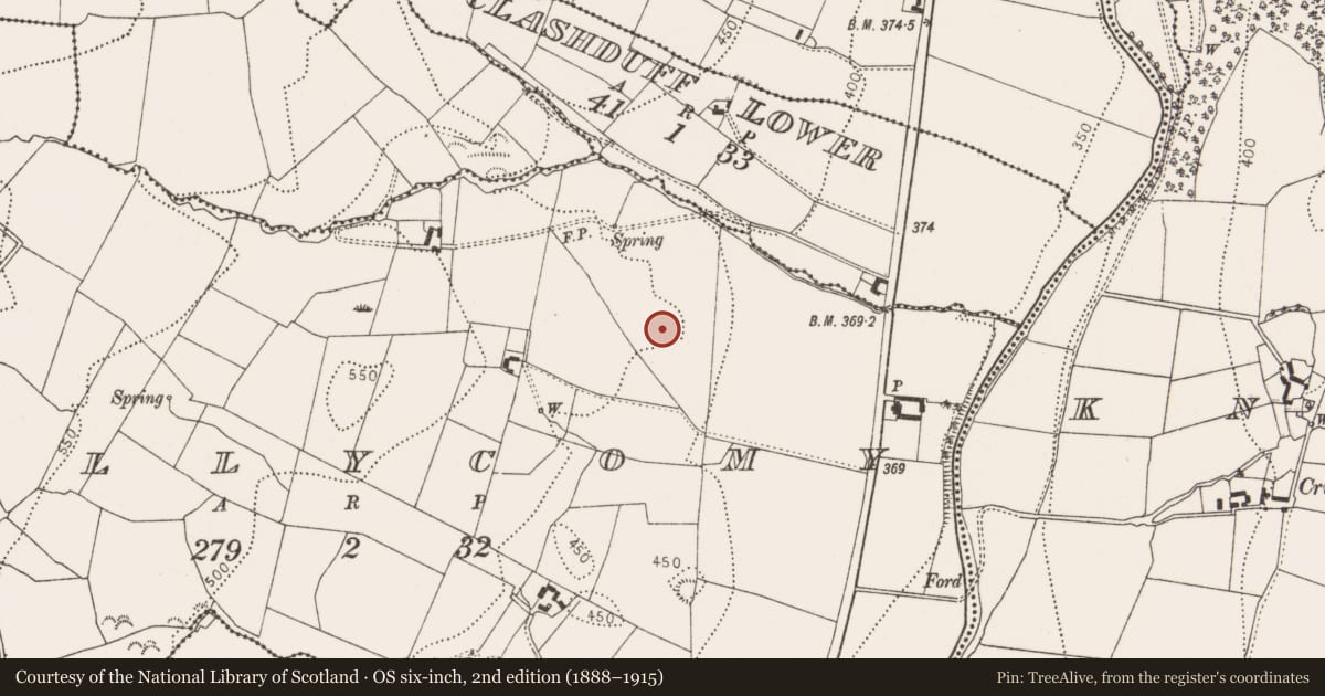Ordnance Survey six-inch map, 2nd edition (1888–1915) covering the location of Enclosure, Ballycomy, County Kilkenny, with a pin at the register's coordinates