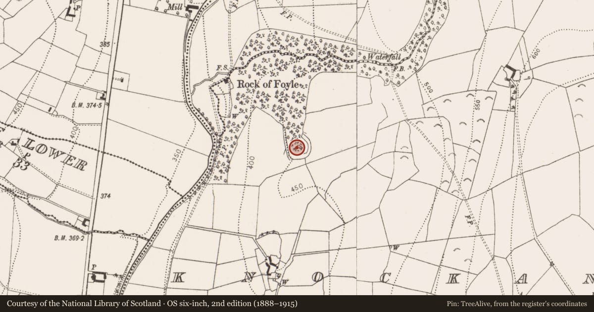 Ordnance Survey six-inch map, 2nd edition (1888–1915) covering the location of Ringfort - rath, Knockanaddoge, County Kilkenny, with a pin at the register's coordinates