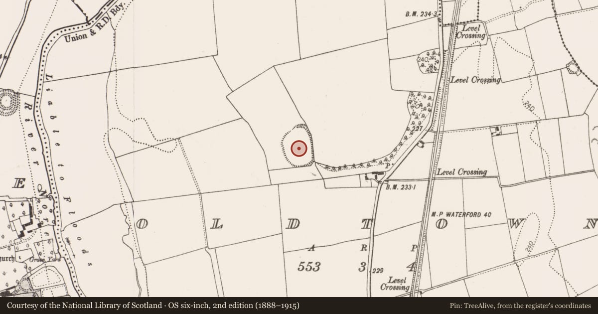 Ordnance Survey six-inch map, 2nd edition (1888–1915) covering the location of Enclosure - large enclosure, Oldtown, County Kilkenny, with a pin at the register's coordinates