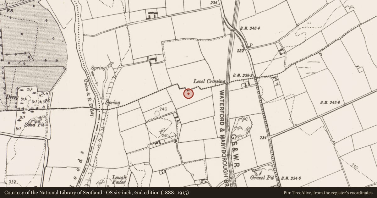 Ordnance Survey six-inch map, 2nd edition (1888–1915) covering the location of Enclosure, Knockroe, County Kilkenny, with a pin at the register's coordinates