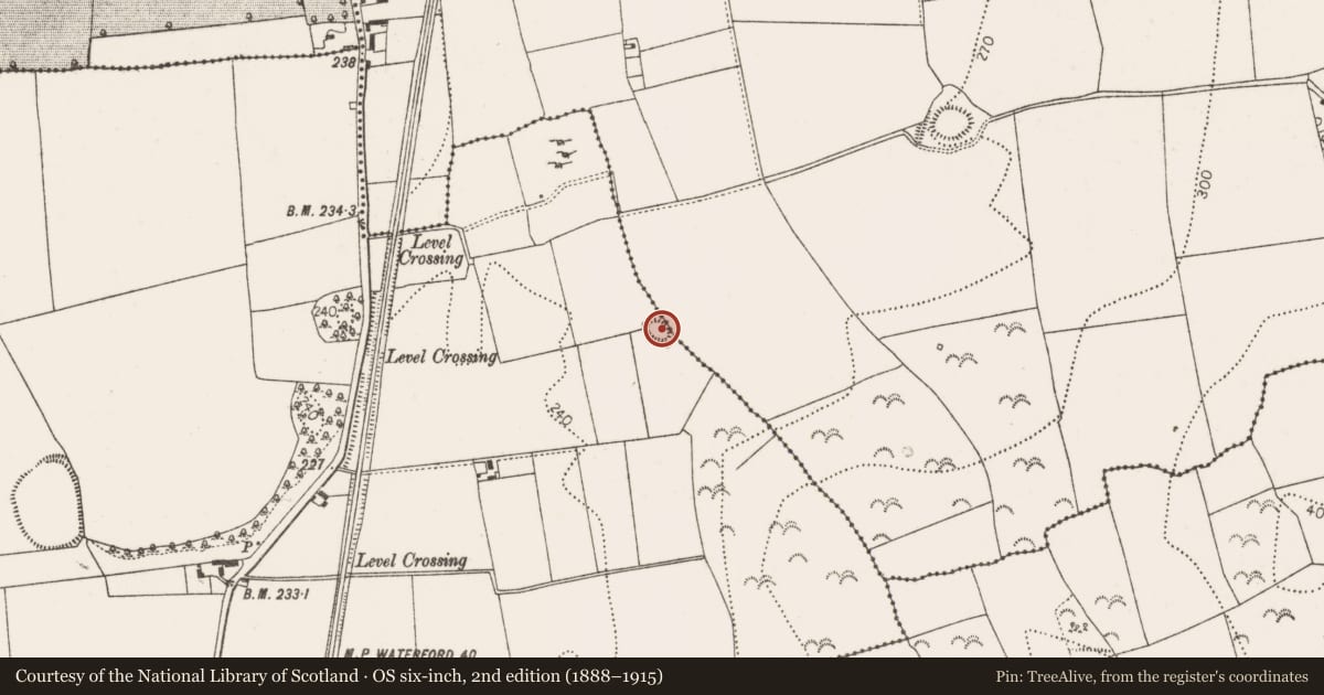 Ordnance Survey six-inch map, 2nd edition (1888–1915) covering the location of Enclosure, Oldtown, County Kilkenny, with a pin at the register's coordinates