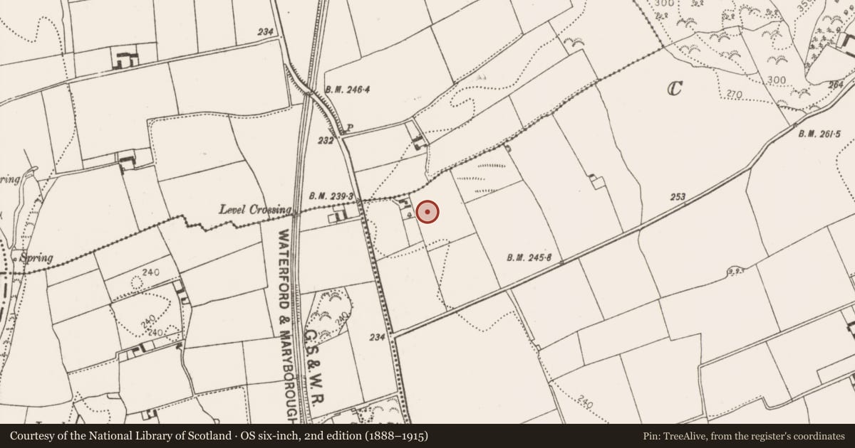 Ordnance Survey six-inch map, 2nd edition (1888–1915) covering the location of Enclosure, Connahy, County Kilkenny, with a pin at the register's coordinates