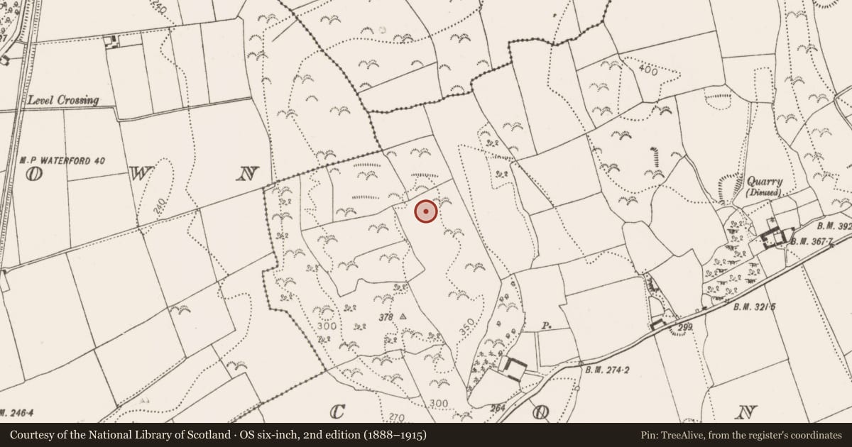 Ordnance Survey six-inch map, 2nd edition (1888–1915) covering the location of Enclosure, Connahy, County Kilkenny, with a pin at the register's coordinates