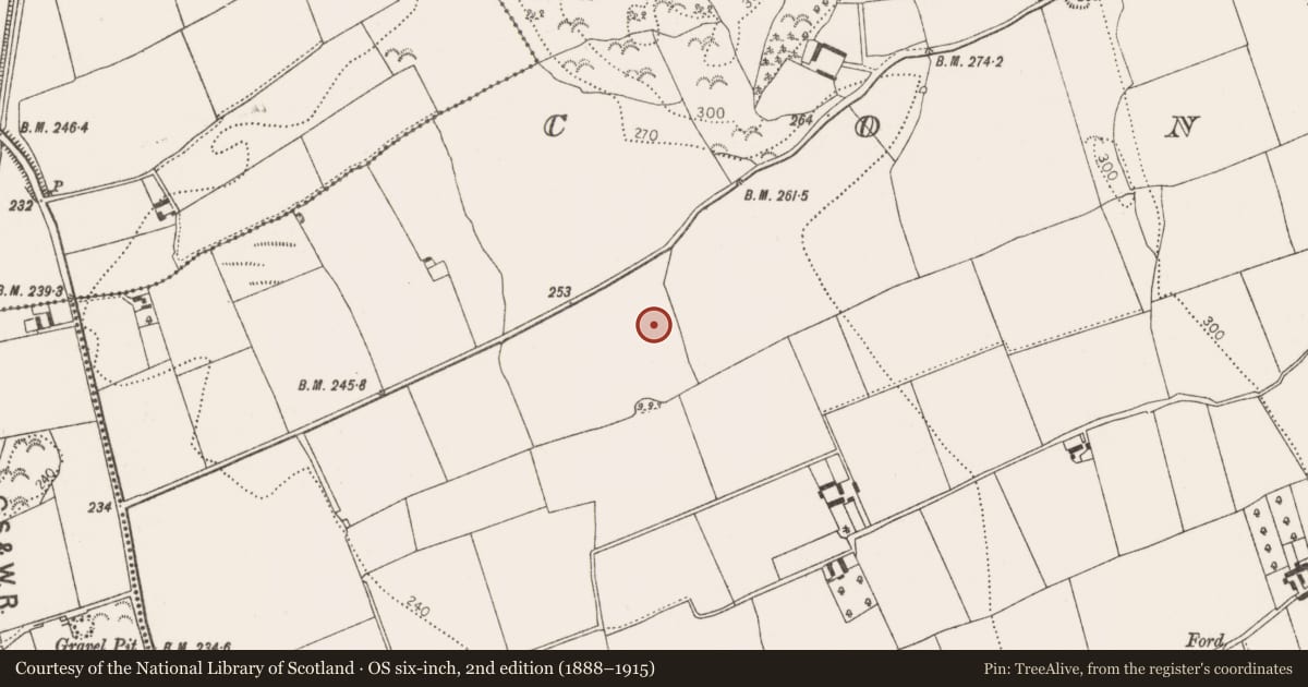 Ordnance Survey six-inch map, 2nd edition (1888–1915) covering the location of Ring-ditch, Connahy, County Kilkenny, with a pin at the register's coordinates