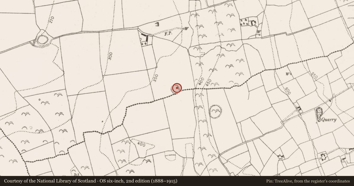 Ordnance Survey six-inch map, 2nd edition (1888–1915) covering the location of Ringfort - rath, Donaghmore, County Kilkenny, with a pin at the register's coordinates