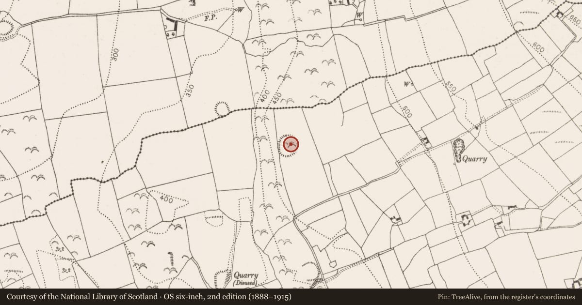 Ordnance Survey six-inch map, 2nd edition (1888–1915) covering the location of Enclosure, Connahy, County Kilkenny, with a pin at the register's coordinates