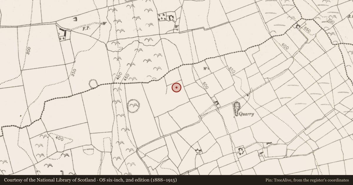 Ordnance Survey six-inch map, 2nd edition (1888–1915) covering the location of Enclosure, Connahy, County Kilkenny, with a pin at the register's coordinates