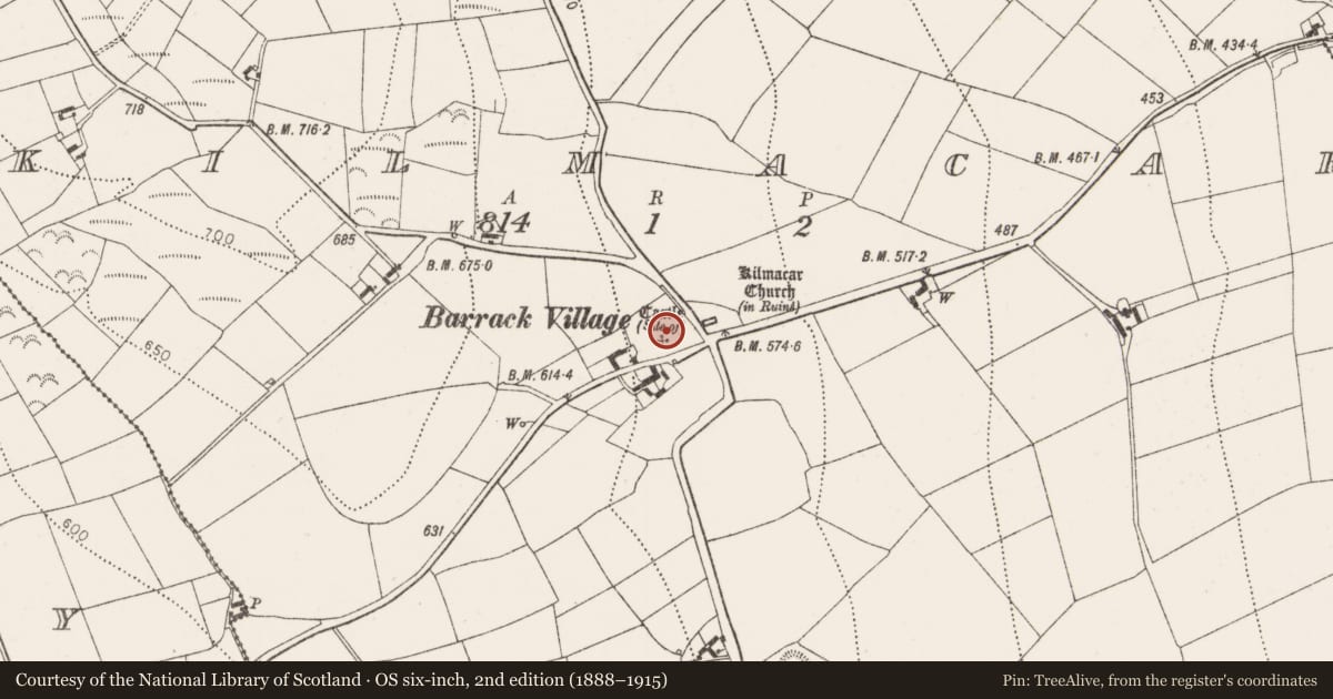 Ordnance Survey six-inch map, 2nd edition (1888–1915) covering the location of Castle - unclassified, Kilmacar, County Kilkenny, with a pin at the register's coordinates