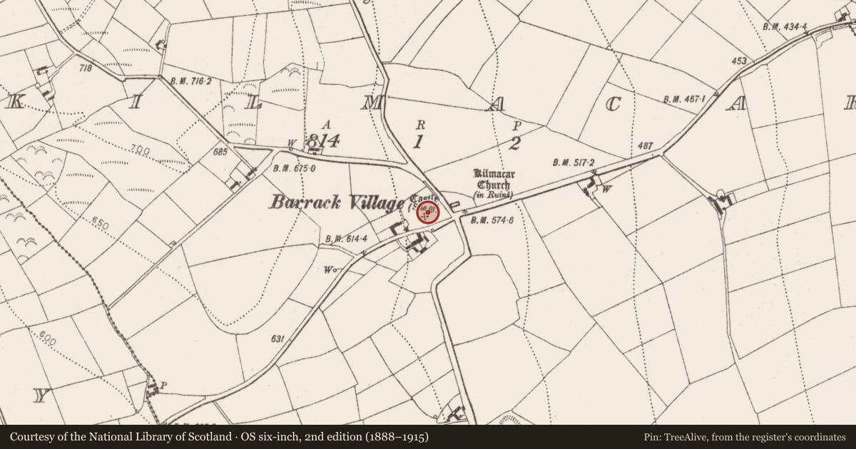 Ordnance Survey six-inch map, 2nd edition (1888–1915) covering the location of Cist, Kilmacar, County Kilkenny, with a pin at the register's coordinates