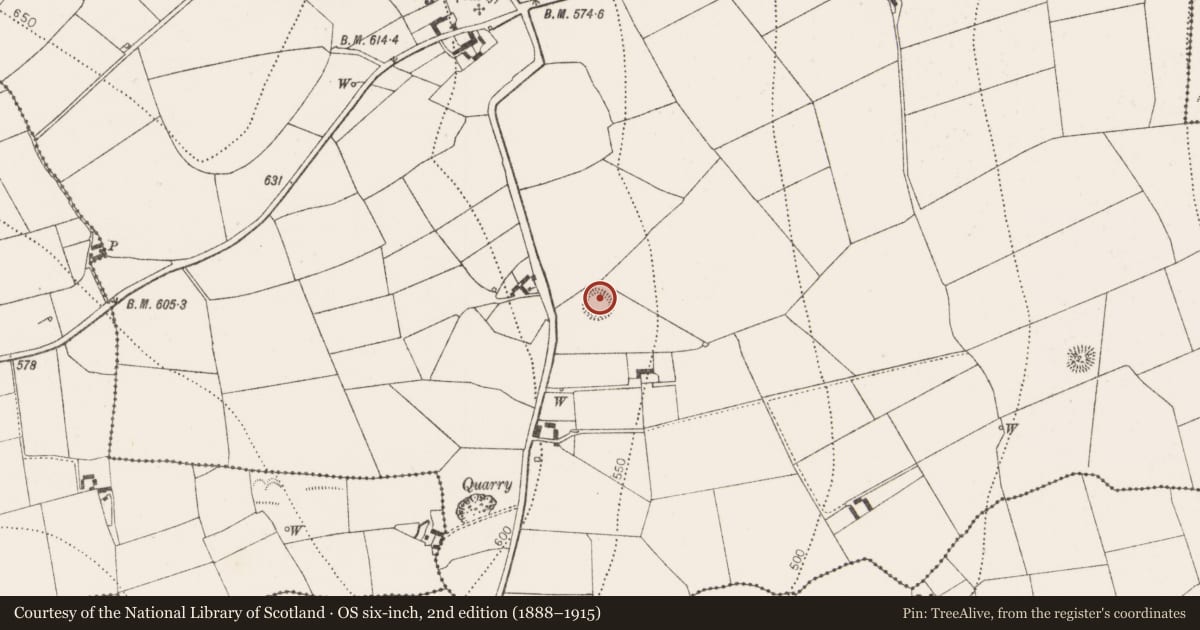 Ordnance Survey six-inch map, 2nd edition (1888–1915) covering the location of Enclosure, Kilmacar, County Kilkenny, with a pin at the register's coordinates