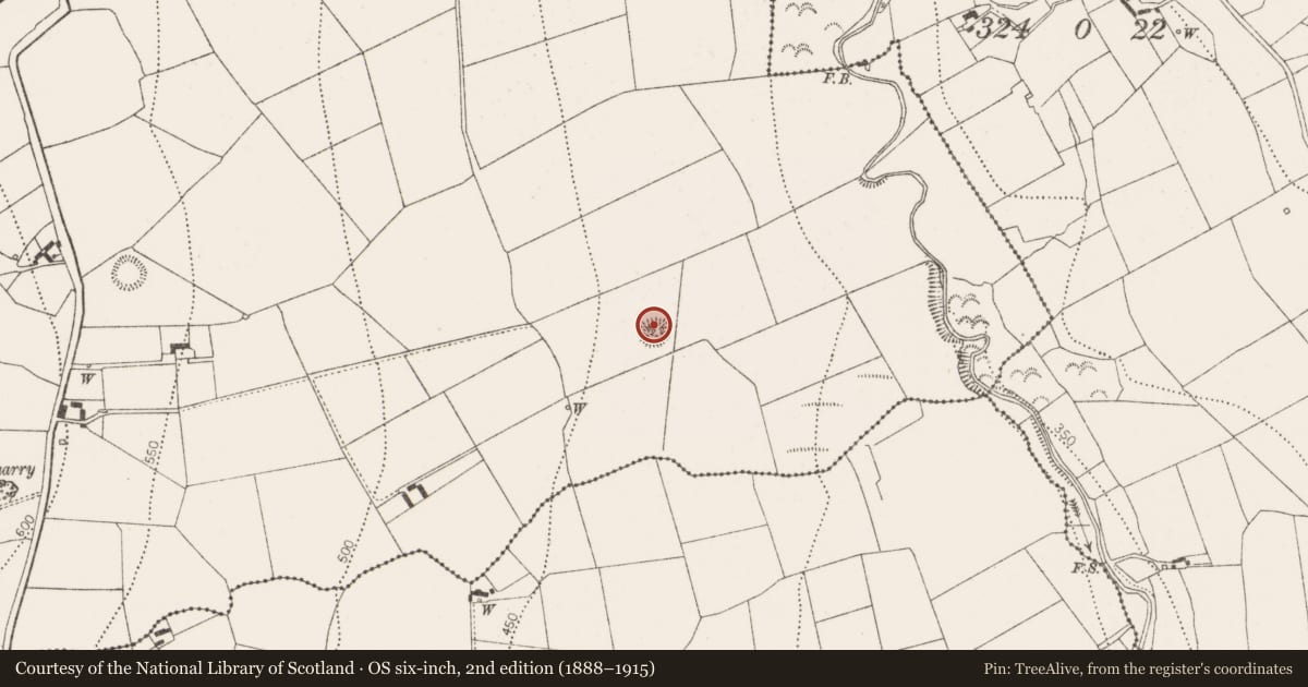 Ordnance Survey six-inch map, 2nd edition (1888–1915) covering the location of Ringfort - rath, Kilmacar, County Kilkenny, with a pin at the register's coordinates