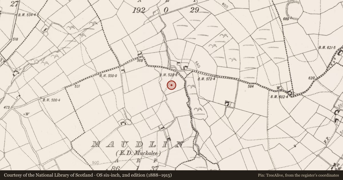Ordnance Survey six-inch map, 2nd edition (1888–1915) covering the location of Enclosure, Maudlin, County Kilkenny, with a pin at the register's coordinates