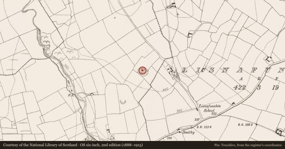 Ordnance Survey six-inch map, 2nd edition (1888–1915) covering the location of Ringfort - rath, Maudlin, County Kilkenny, with a pin at the register's coordinates