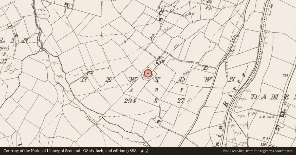 Ordnance Survey six-inch map, 2nd edition (1888–1915) covering the location of Ringfort - rath, Newtown, County Kilkenny, with a pin at the register's coordinates
