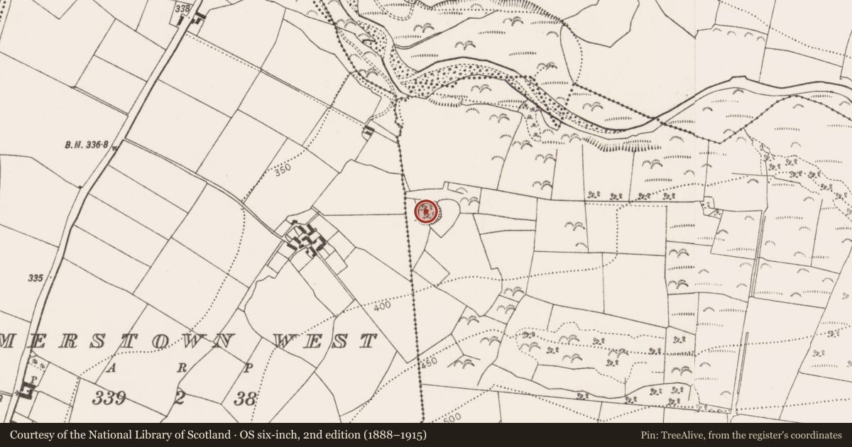 Ordnance Survey six-inch map, 2nd edition (1888–1915) covering the location of Enclosure, Damerstown East, County Kilkenny, with a pin at the register's coordinates