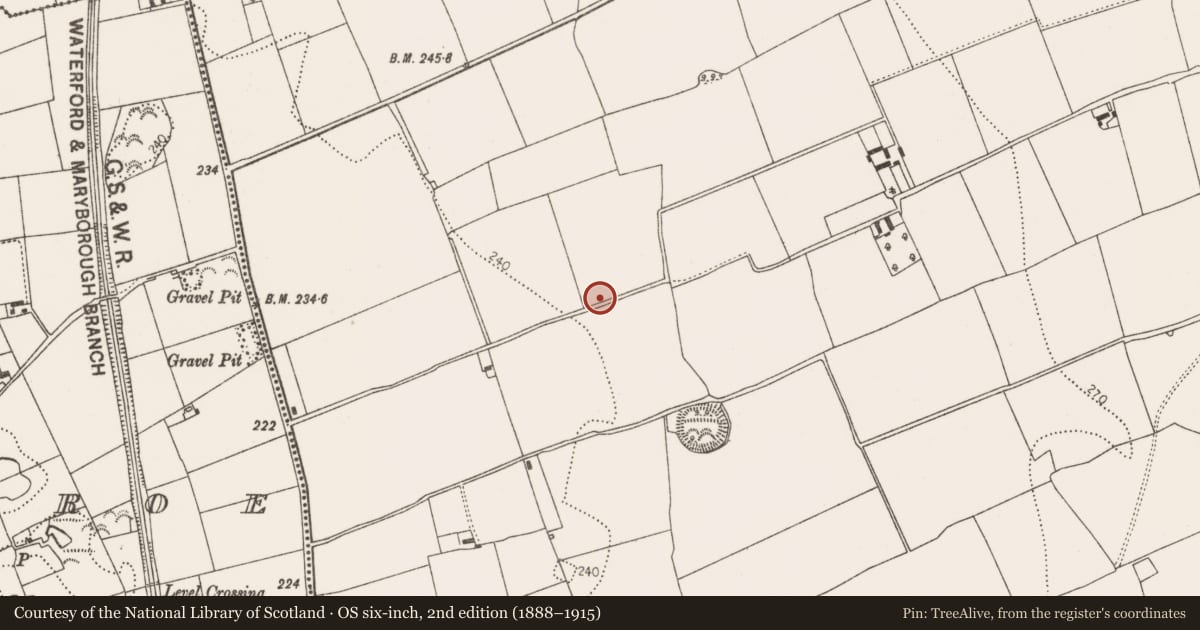 Ordnance Survey six-inch map, 2nd edition (1888–1915) covering the location of Enclosure, Connahy, County Kilkenny, with a pin at the register's coordinates
