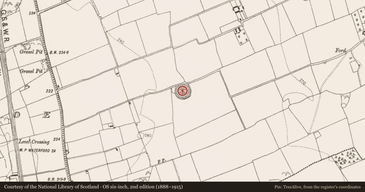 Ordnance Survey six-inch map, 2nd edition (1888–1915) covering the location of Ringfort - unclassified, Connahy, County Kilkenny, with a pin at the register's coordinates