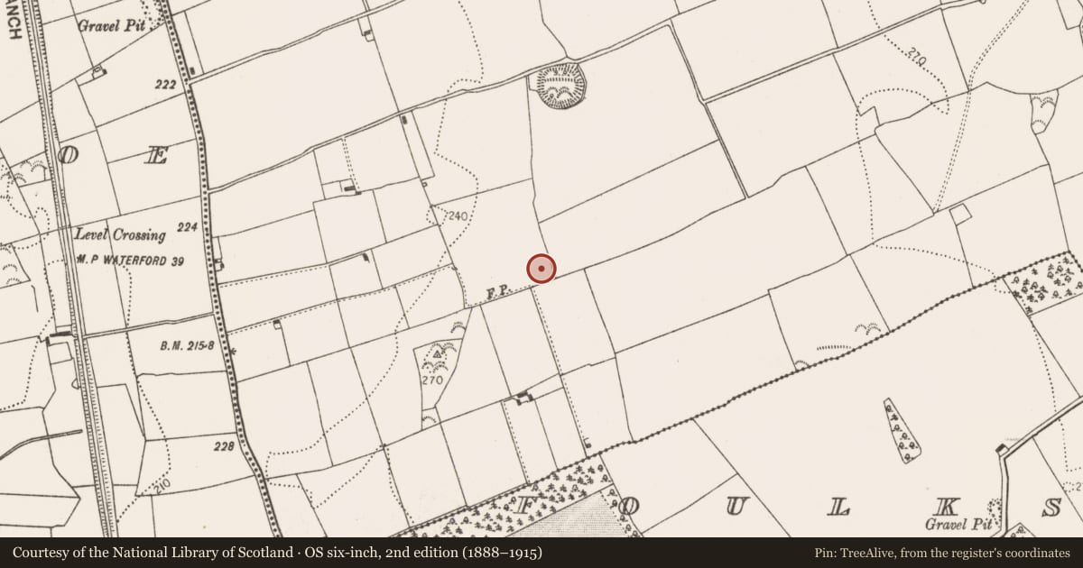 Ordnance Survey six-inch map, 2nd edition (1888–1915) covering the location of Ring-ditch, Connahy, County Kilkenny, with a pin at the register's coordinates
