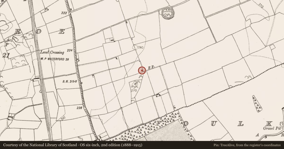 Ordnance Survey six-inch map, 2nd edition (1888–1915) covering the location of Ring-ditch, Connahy, County Kilkenny, with a pin at the register's coordinates