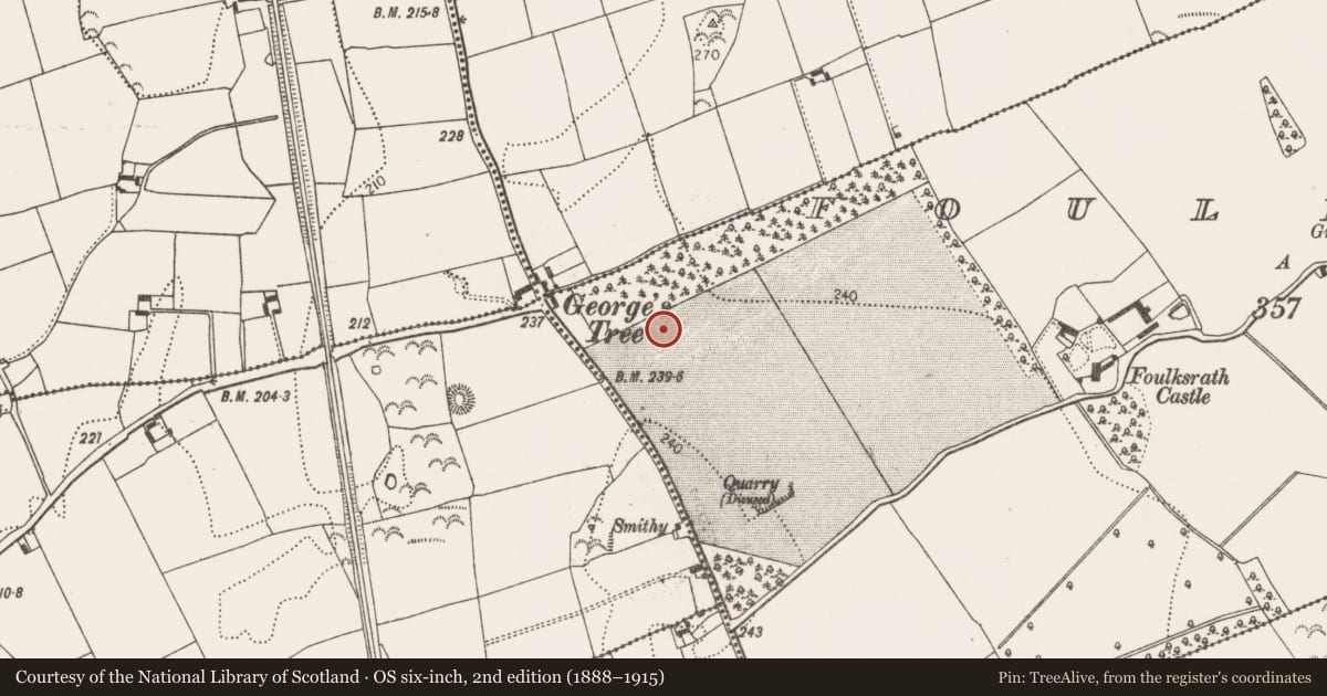 Ordnance Survey six-inch map, 2nd edition (1888–1915) covering the location of Ring-ditch, Foulksrath, County Kilkenny, with a pin at the register's coordinates