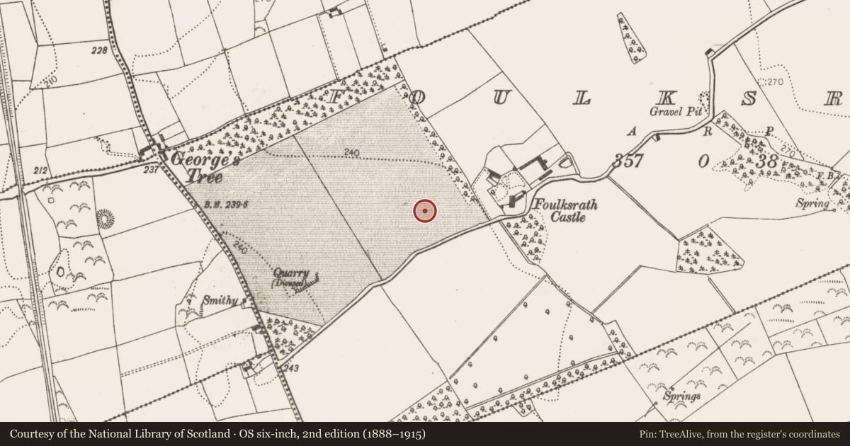 Ordnance Survey six-inch map, 2nd edition (1888–1915) covering the location of Ring-ditch, Foulksrath, County Kilkenny, with a pin at the register's coordinates