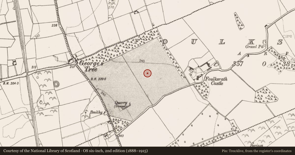 Ordnance Survey six-inch map, 2nd edition (1888–1915) covering the location of Ring-ditch, Foulksrath, County Kilkenny, with a pin at the register's coordinates