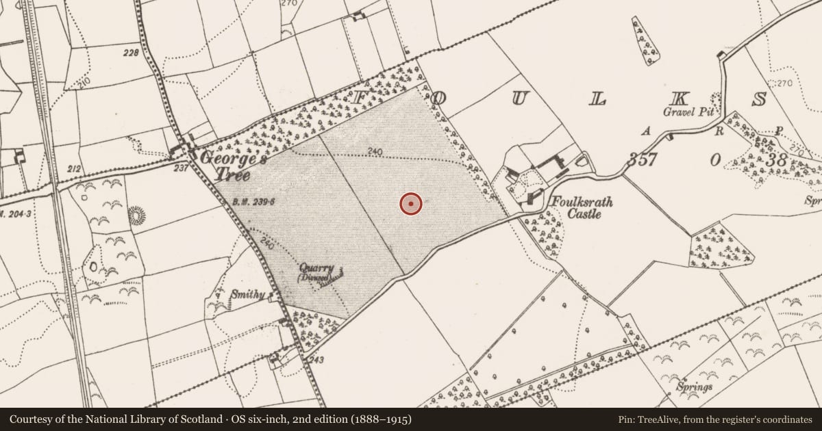 Ordnance Survey six-inch map, 2nd edition (1888–1915) covering the location of Ring-ditch, Foulksrath, County Kilkenny, with a pin at the register's coordinates