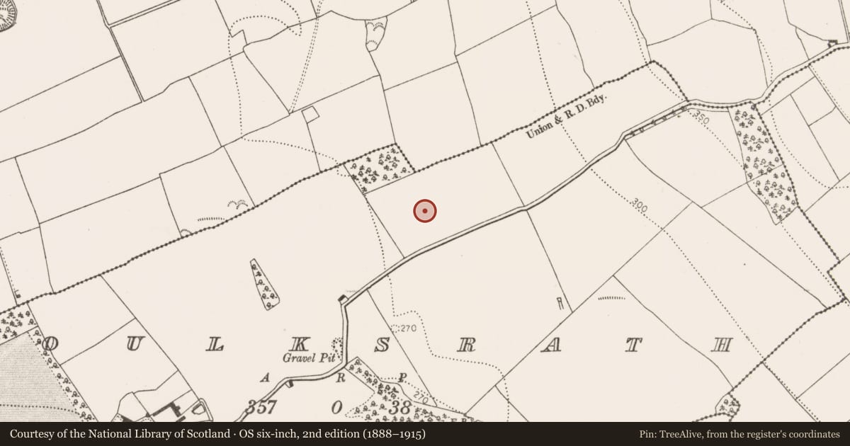 Ordnance Survey six-inch map, 2nd edition (1888–1915) covering the location of Ring-ditch, Foulksrath, County Kilkenny, with a pin at the register's coordinates