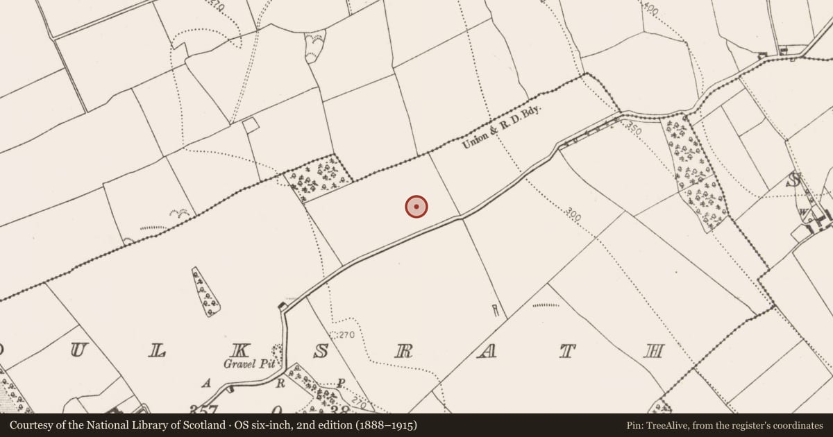 Ordnance Survey six-inch map, 2nd edition (1888–1915) covering the location of Ring-ditch, Foulksrath, County Kilkenny, with a pin at the register's coordinates