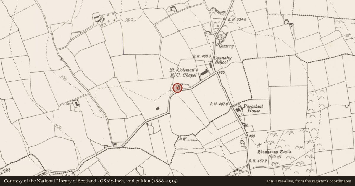 Ordnance Survey six-inch map, 2nd edition (1888–1915) covering the location of Graveyard, Connahy, County Kilkenny, with a pin at the register's coordinates