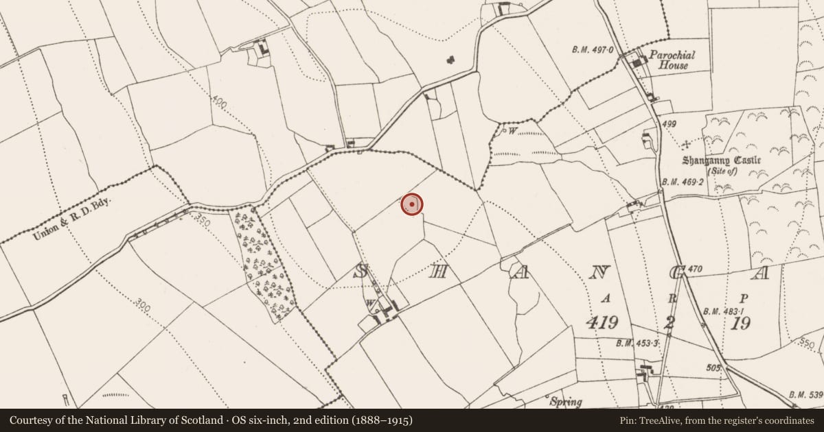 Ordnance Survey six-inch map, 2nd edition (1888–1915) covering the location of Ringfort - rath, Shanganny, County Kilkenny, with a pin at the register's coordinates