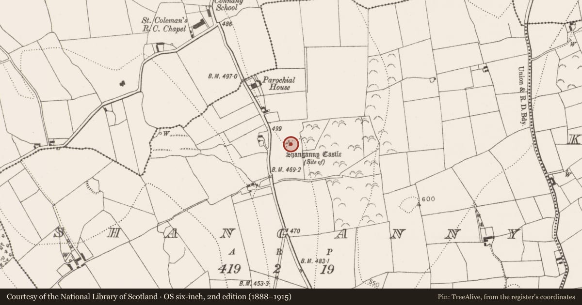 Ordnance Survey six-inch map, 2nd edition (1888–1915) covering the location of Castle - unclassified, Shanganny, County Kilkenny, with a pin at the register's coordinates