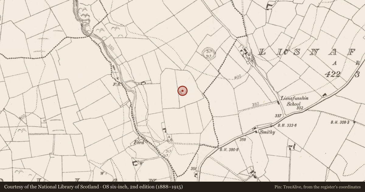 Ordnance Survey six-inch map, 2nd edition (1888–1915) covering the location of Enclosure, Maudlin, County Kilkenny, with a pin at the register's coordinates