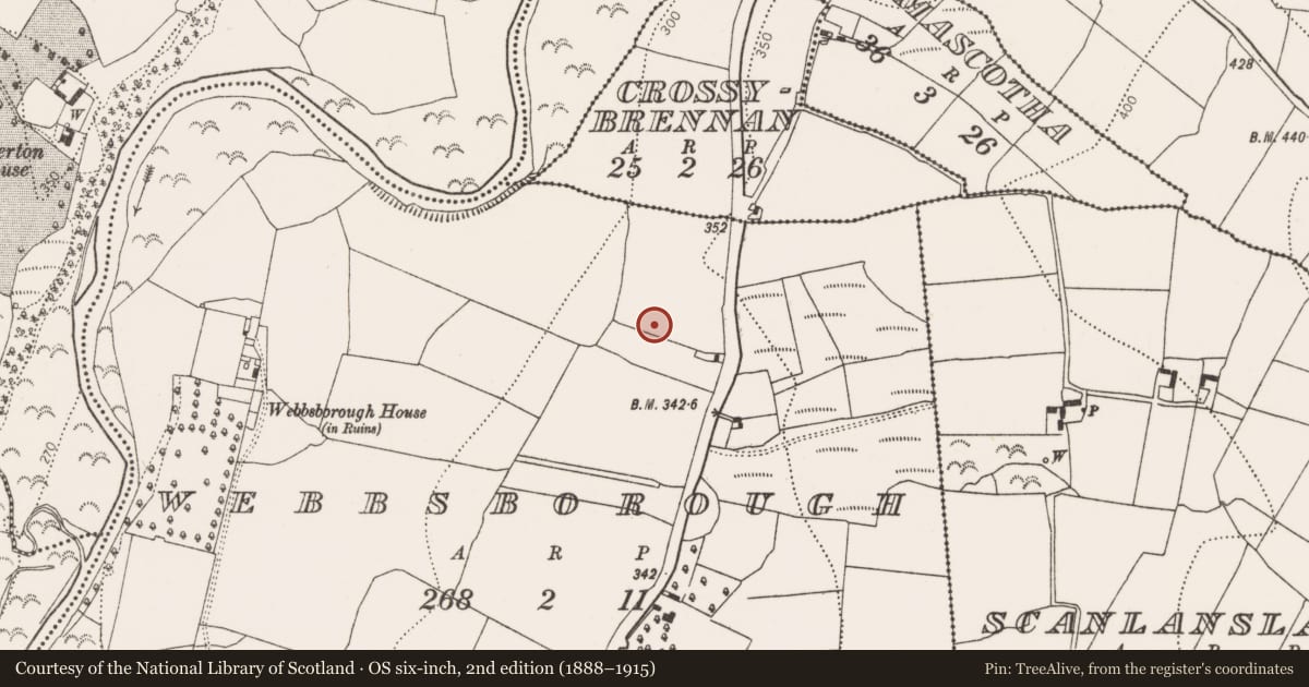 Ordnance Survey six-inch map, 2nd edition (1888–1915) covering the location of Fulacht fia, Webbsborough, County Kilkenny, with a pin at the register's coordinates
