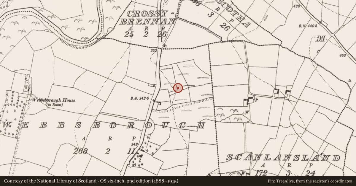 Ordnance Survey six-inch map, 2nd edition (1888–1915) covering the location of Fulacht fia, Webbsborough, County Kilkenny, with a pin at the register's coordinates