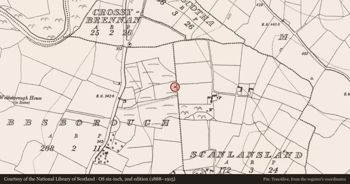 Ordnance Survey six-inch map, 2nd edition (1888–1915) covering the location of Fulacht fia, Webbsborough, County Kilkenny, with a pin at the register's coordinates