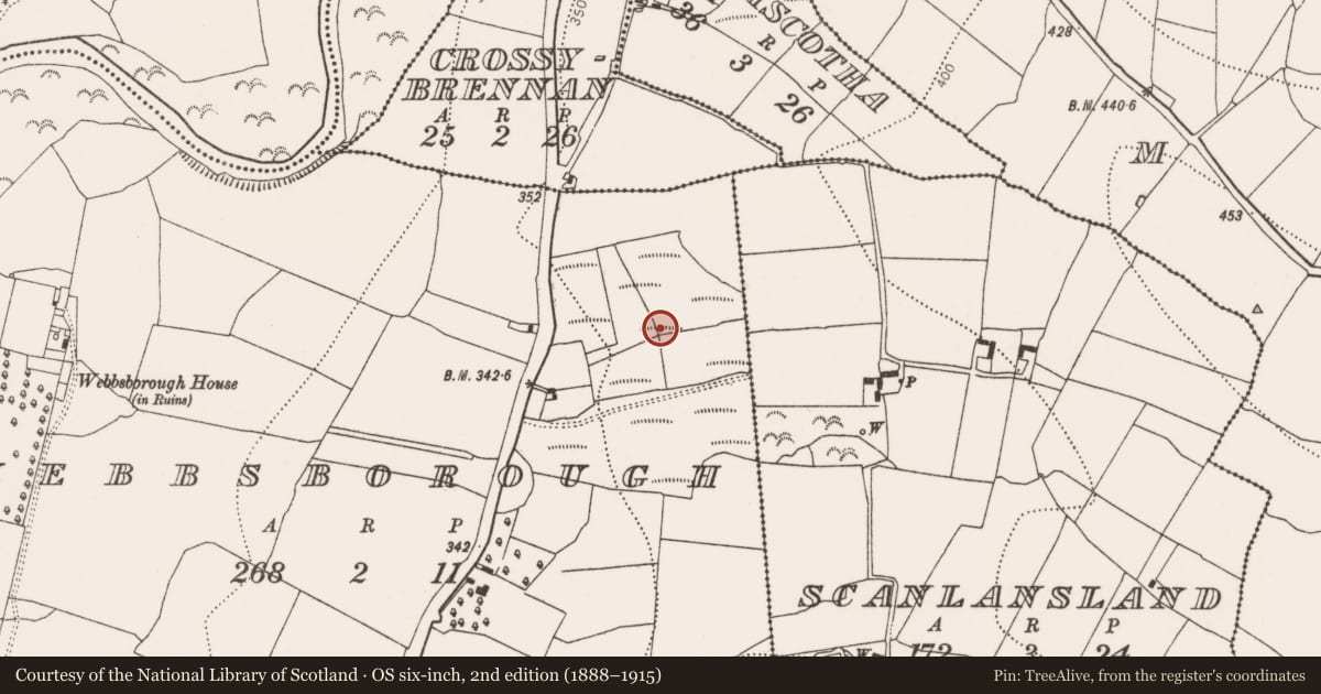 Ordnance Survey six-inch map, 2nd edition (1888–1915) covering the location of Fulacht fia, Webbsborough, County Kilkenny, with a pin at the register's coordinates