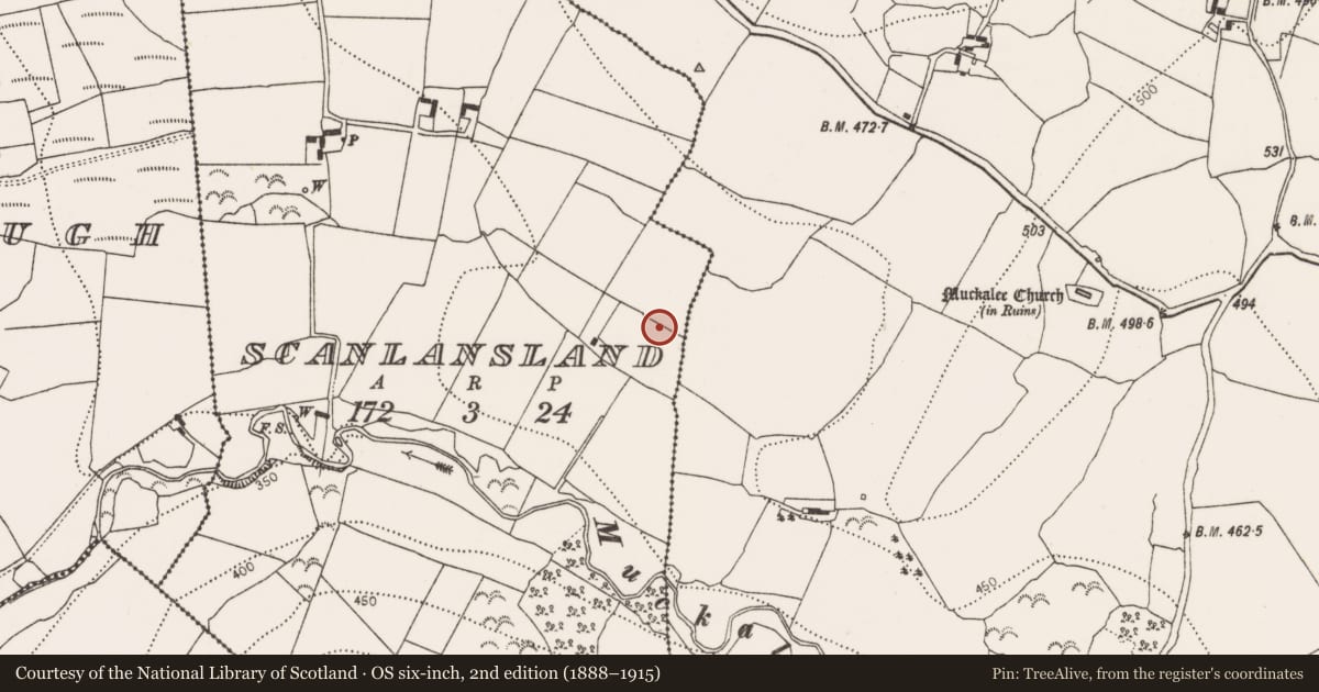 Ordnance Survey six-inch map, 2nd edition (1888–1915) covering the location of Fulacht fia, Scanlansland, County Kilkenny, with a pin at the register's coordinates