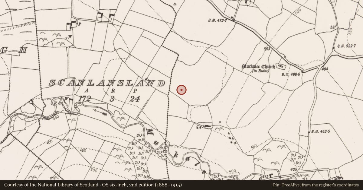Ordnance Survey six-inch map, 2nd edition (1888–1915) covering the location of Fulacht fia, Muckalee, County Kilkenny, with a pin at the register's coordinates