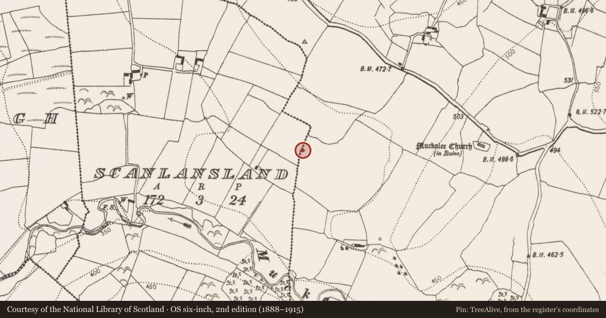 Ordnance Survey six-inch map, 2nd edition (1888–1915) covering the location of Fulacht fia, Muckalee, County Kilkenny, with a pin at the register's coordinates