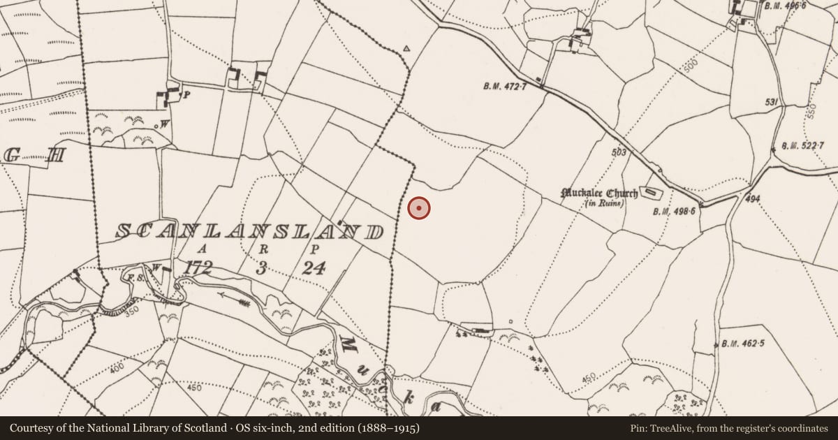 Ordnance Survey six-inch map, 2nd edition (1888–1915) covering the location of Fulacht fia, Muckalee, County Kilkenny, with a pin at the register's coordinates