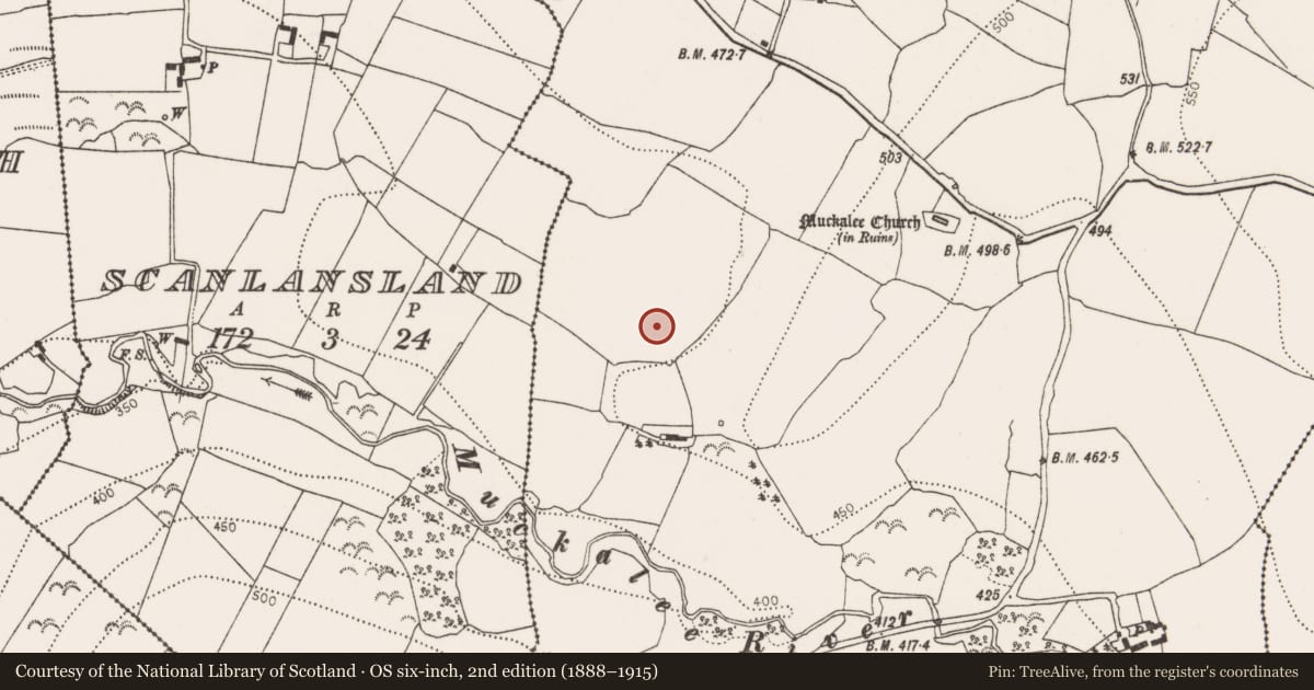Ordnance Survey six-inch map, 2nd edition (1888–1915) covering the location of Fulacht fia, Muckalee, County Kilkenny, with a pin at the register's coordinates