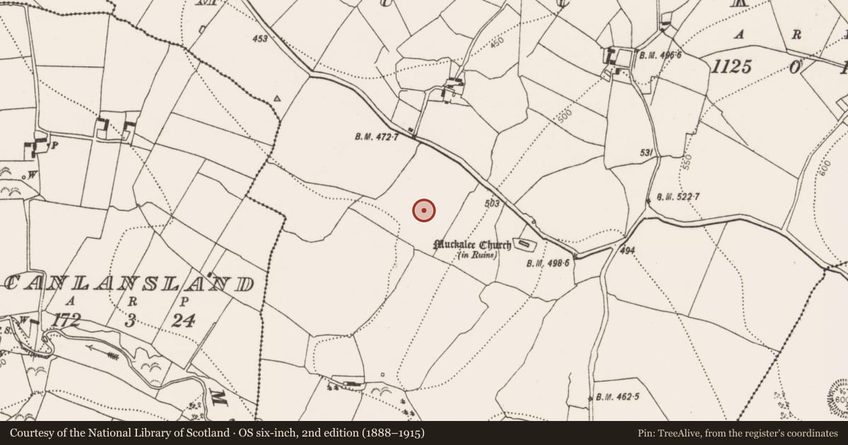 Ordnance Survey six-inch map, 2nd edition (1888–1915) covering the location of Fulacht fia, Muckalee, County Kilkenny, with a pin at the register's coordinates