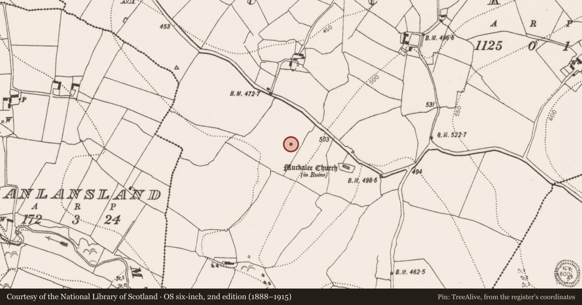 Ordnance Survey six-inch map, 2nd edition (1888–1915) covering the location of Fulacht fia, Muckalee, County Kilkenny, with a pin at the register's coordinates