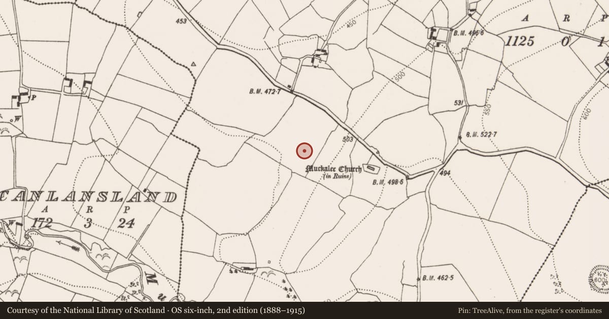 Ordnance Survey six-inch map, 2nd edition (1888–1915) covering the location of Fulacht fia, Muckalee, County Kilkenny, with a pin at the register's coordinates