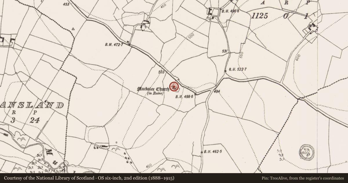 Ordnance Survey six-inch map, 2nd edition (1888–1915) covering the location of Church, Muckalee, County Kilkenny, with a pin at the register's coordinates