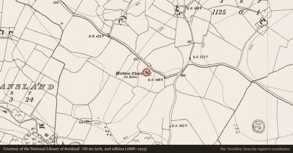 Ordnance Survey six-inch map, 2nd edition (1888–1915) covering the location of Graveyard, Muckalee, County Kilkenny, with a pin at the register's coordinates