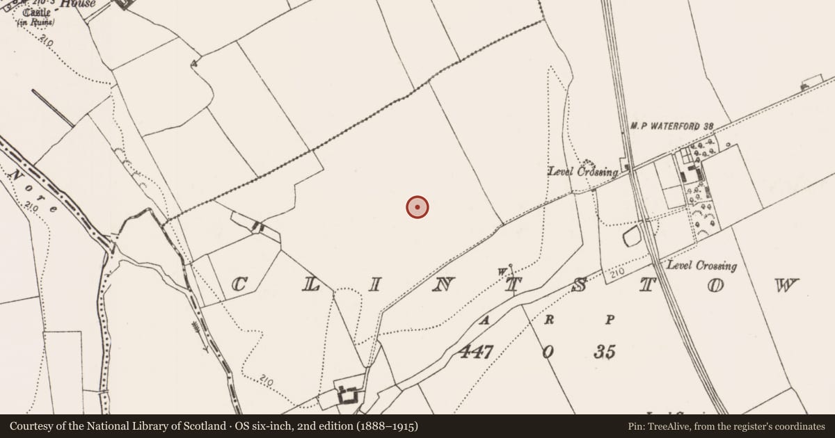 Ordnance Survey six-inch map, 2nd edition (1888–1915) covering the location of Enclosure, Clintstown, County Kilkenny, with a pin at the register's coordinates