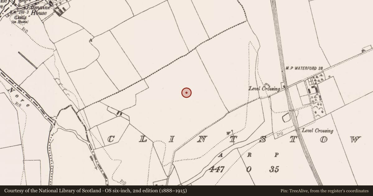 Ordnance Survey six-inch map, 2nd edition (1888–1915) covering the location of Field system, Clintstown, County Kilkenny, with a pin at the register's coordinates