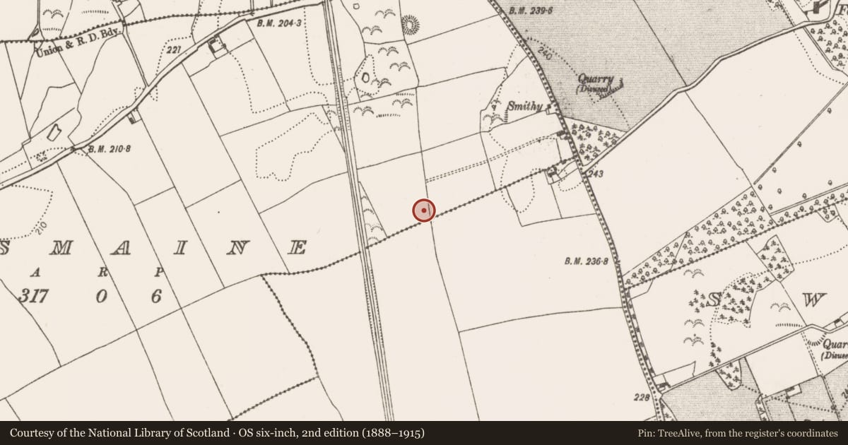 Ordnance Survey six-inch map, 2nd edition (1888–1915) covering the location of Ring-ditch, Lismaine, County Kilkenny, with a pin at the register's coordinates